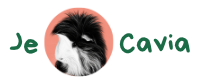 Theatergroep Je Cavia